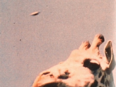 Fotografia de disco voador obtida por Wilfred Power. O objeto não estava visível no momento da fotografia.