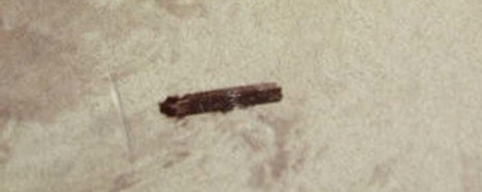 A Foto de 1870 A Foto de 1870