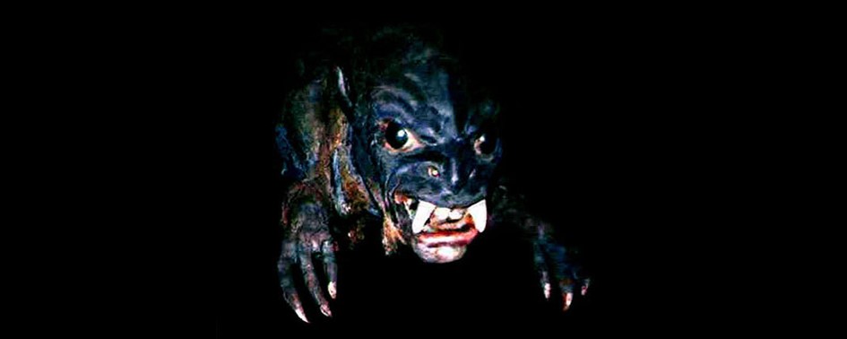 Chupacabras atacou em São Paulo, em 1999 Chupacabras atacou em São Paulo, em 1999