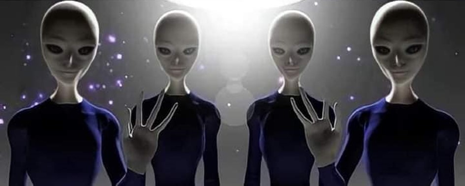 Caso Carnaubinha Caso Carnaubinha